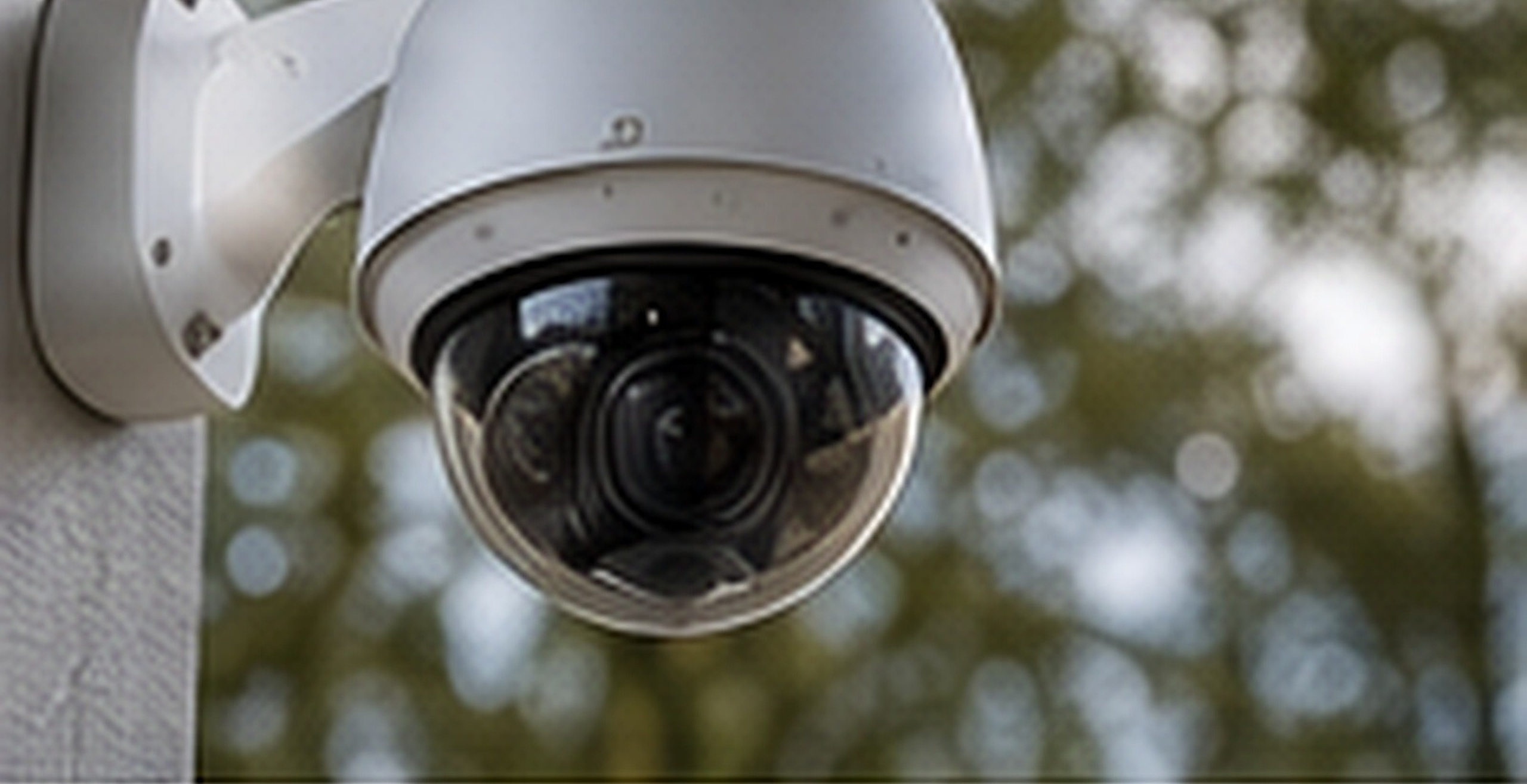 Outdoor dome security camera