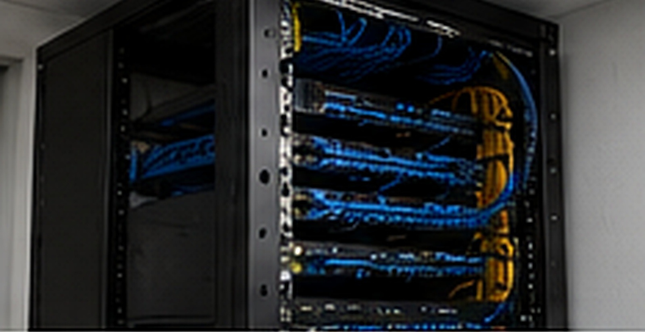 Professionally organized network rack